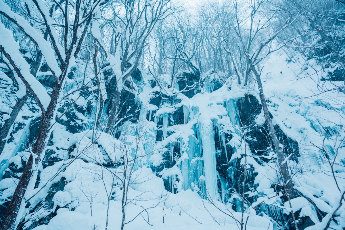 奥入瀬渓流｜氷瀑の美しさを屋内に表現「氷瀑アートストリート」誕生！