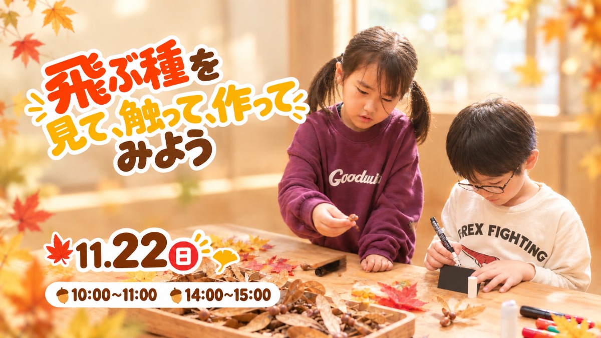 【徳島イベント情報】11/22｜飛ぶ種を見て触って作ってみよう