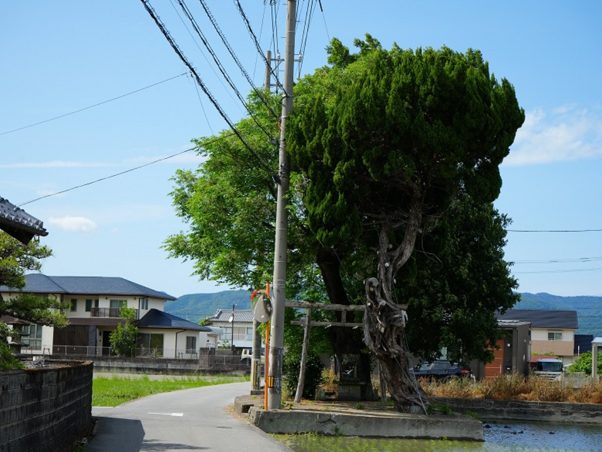 邪馬台国は阿波だった!?シーズン2【古代史を通して徳島の魅力を再発見】7話目／古代豪族「忌部氏」とは