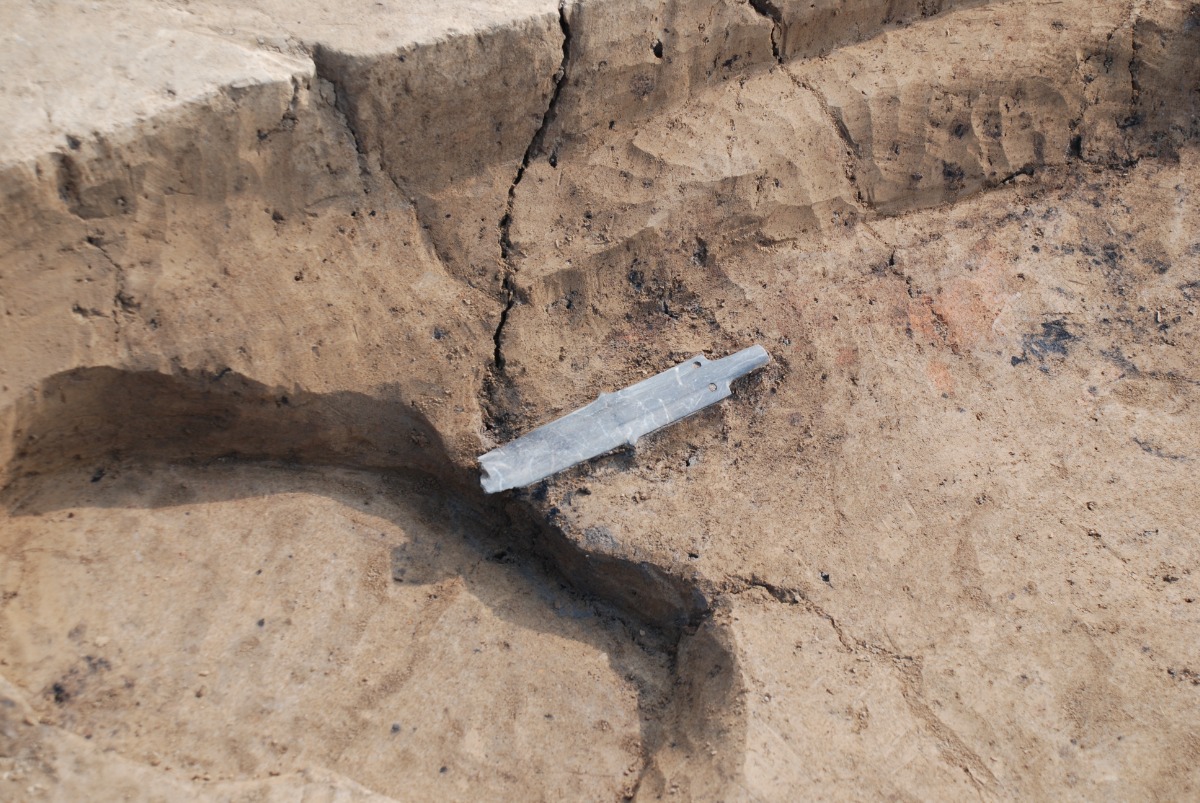 邪馬台国は阿波だった!?【古代史を通して徳島の魅力を再発見】テーマ⑫日本最古のコンビナート 阿南の加茂宮ノ前遺跡