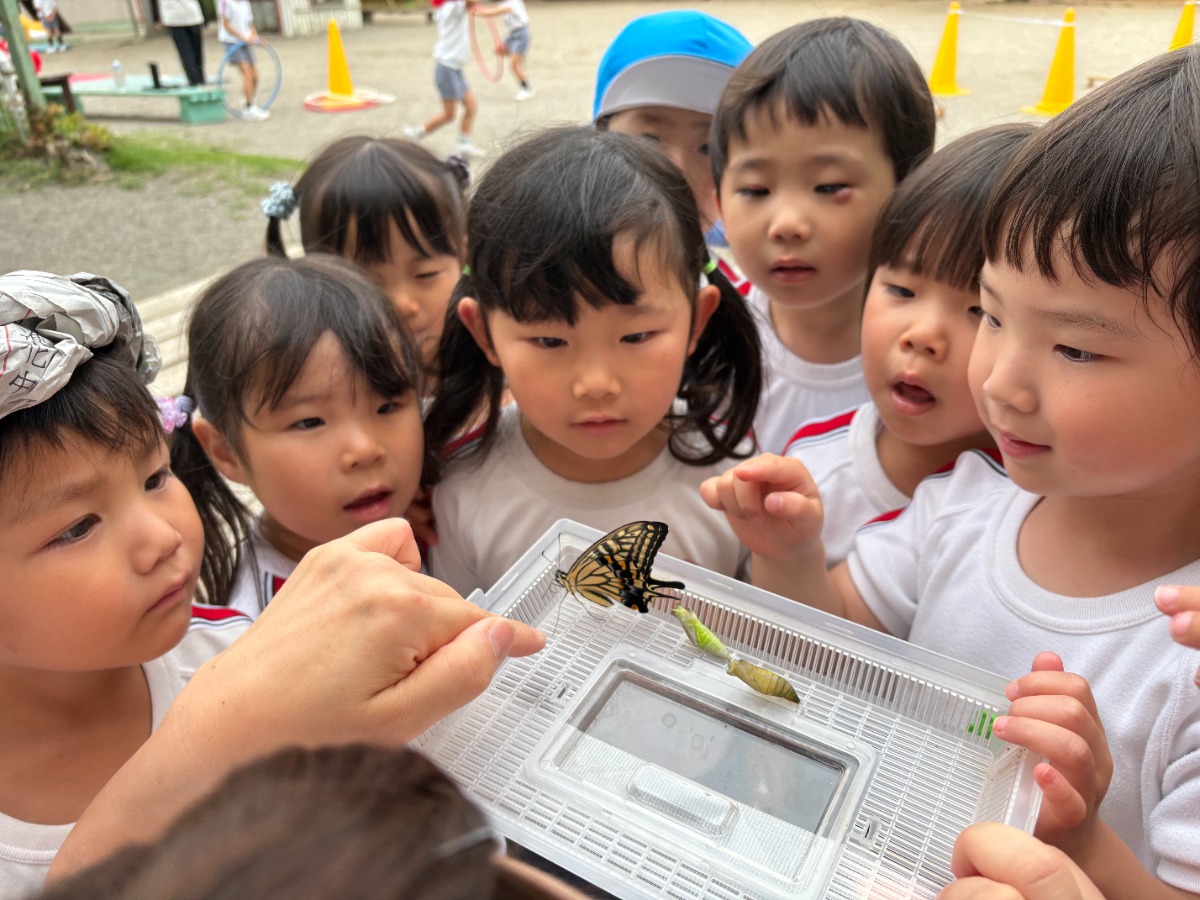 《2027年度版入園ガイド》徳島の私立幼稚園&認定こども園ピックアップ