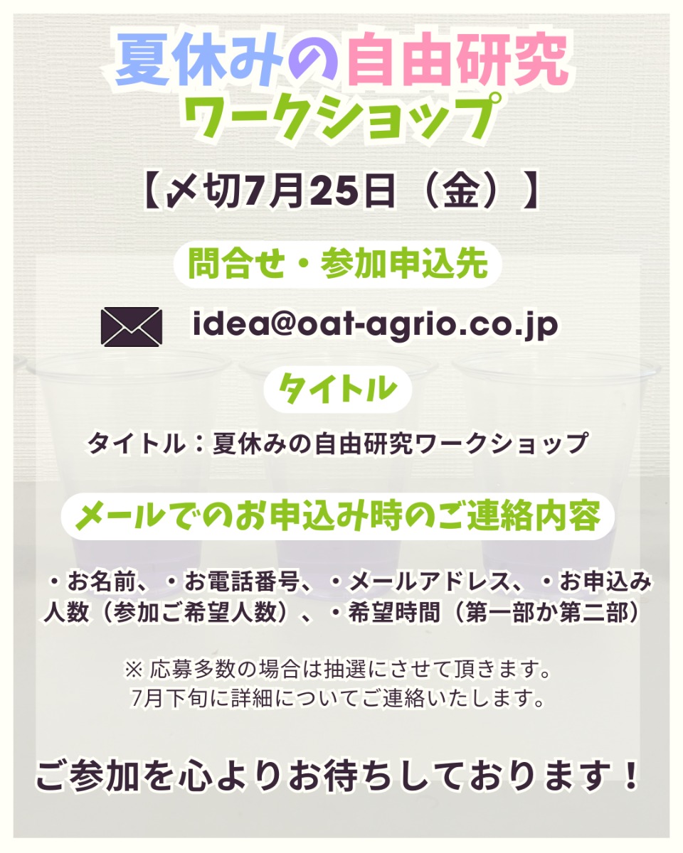 【徳島イベント情報2025】8/2｜夏休みの自由研究ワークショップ［7/25申込締切］