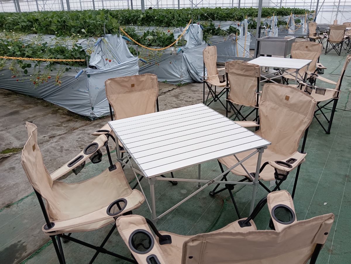 【2026最新版】徳島いちご狩りスポット・おすすめ14選！家族のおでかけ＆レジャーにぴったり