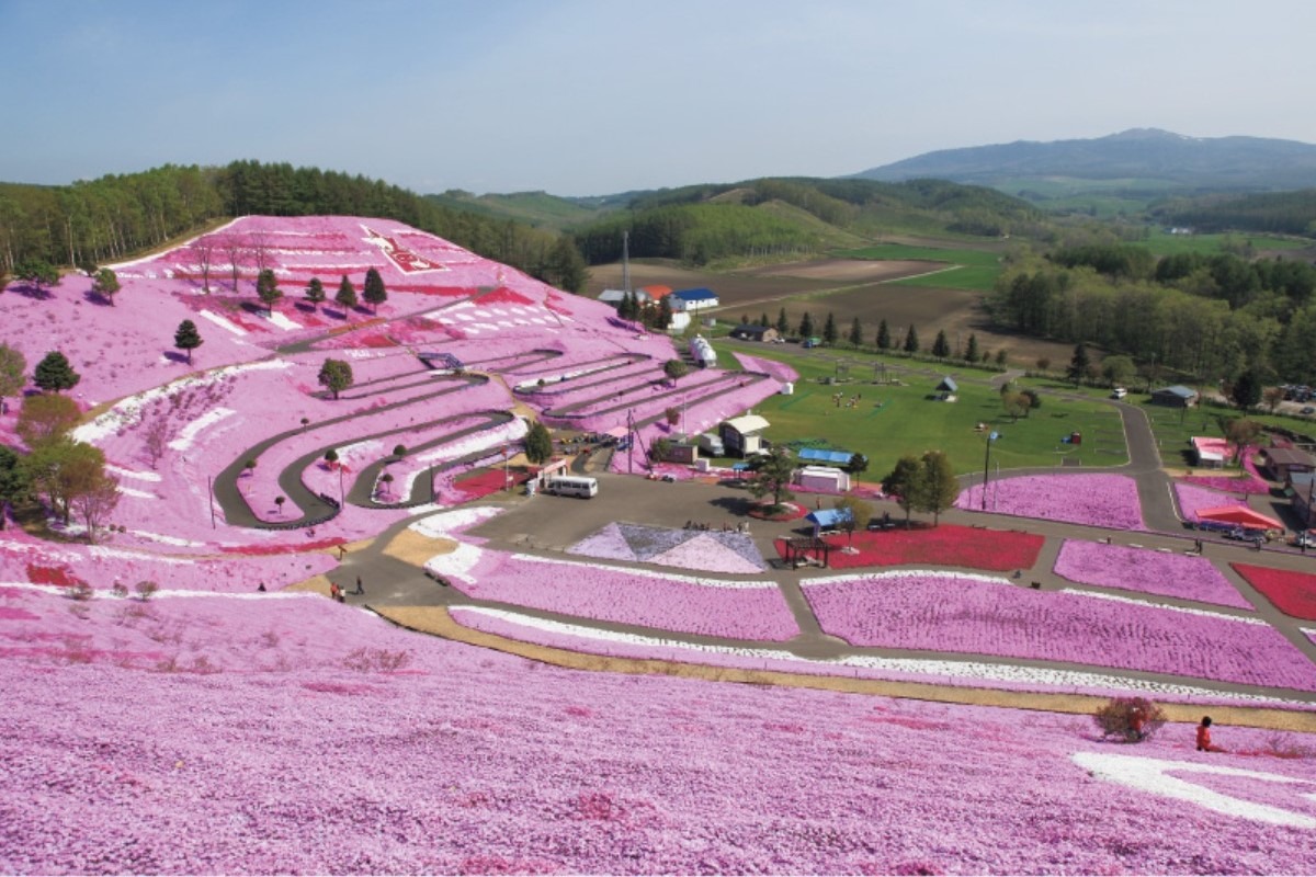 春夏のオホーツク｜大空町　日本最東端の米の栽培地で四季の絶景が自慢