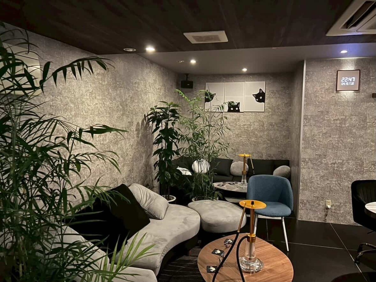 【徳島版】夜のサブカルショップまとめ2026 ～ゲーム・アニメ・コンカフェ・都市伝説～