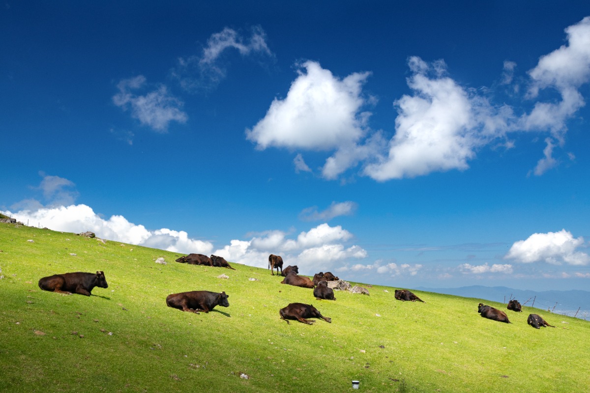 【佐那河内村】夏のおでかけ特集2026