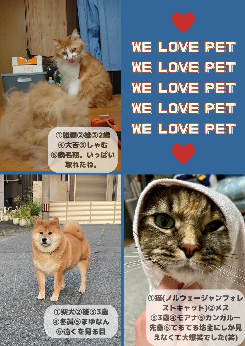 【ペットフォトコンテスト】幸せを呼ぶペットライフ　We LOVE Pet2023年6月版