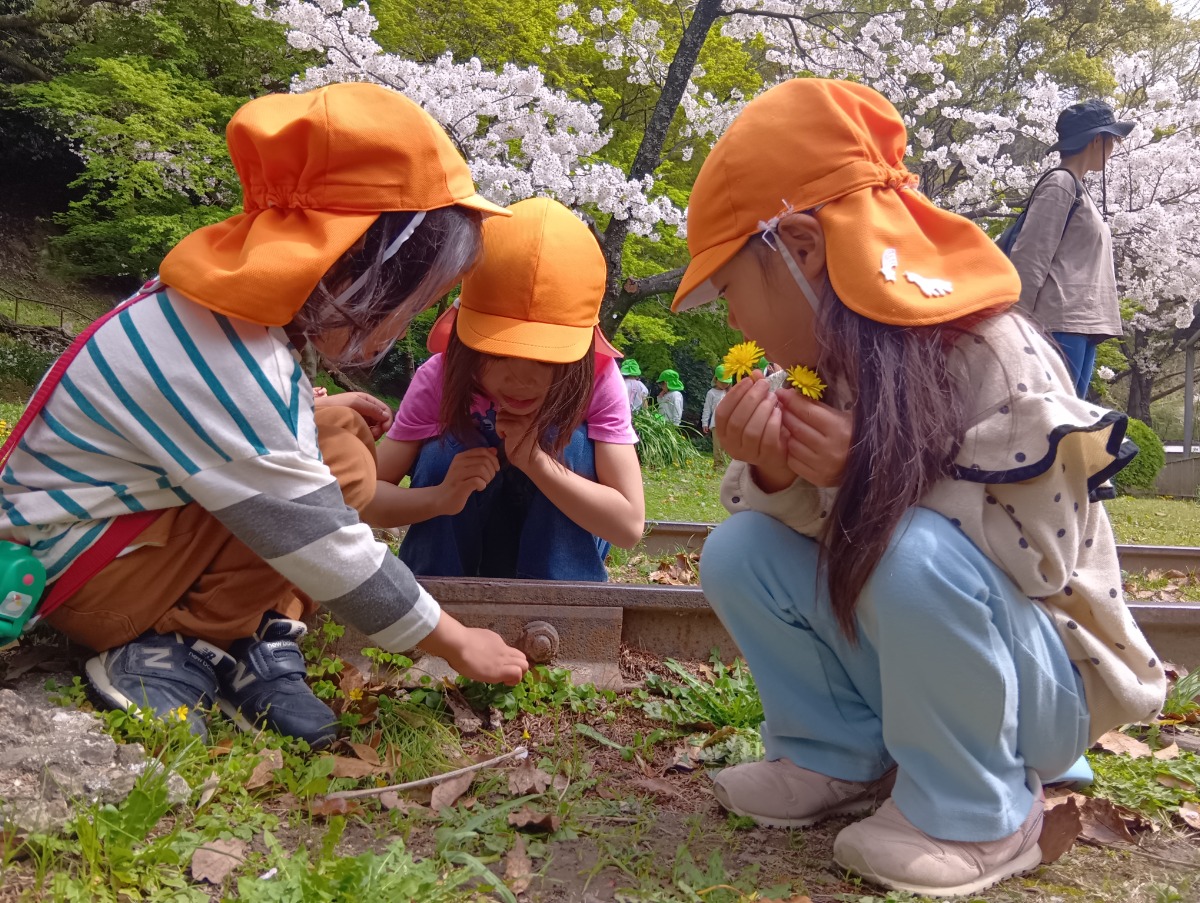《2027年度版入園ガイド》徳島の私立幼稚園&認定こども園ピックアップ