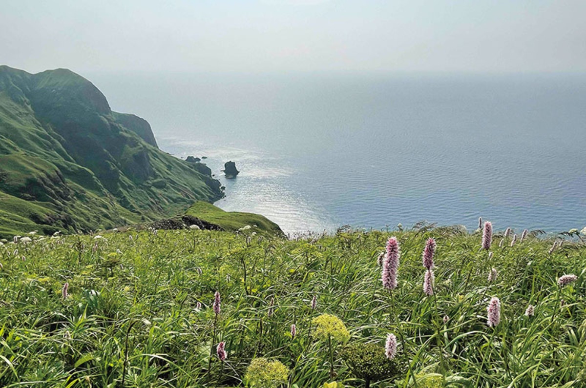 花の浮島・礼文島を歩く、絶景旅!~7つのトレッキングコース