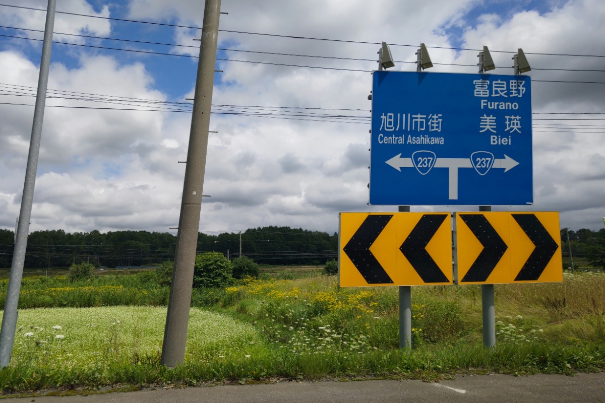 北海道・美瑛、小麦畑をつかまえて。