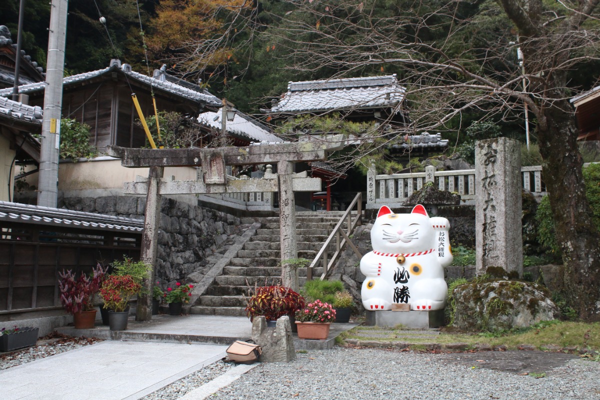 【最新2026年版】正月恒例！ 徳島のおすすめ初詣スポットまとめ。神社＆お寺のご利益をチェックして参拝しよう