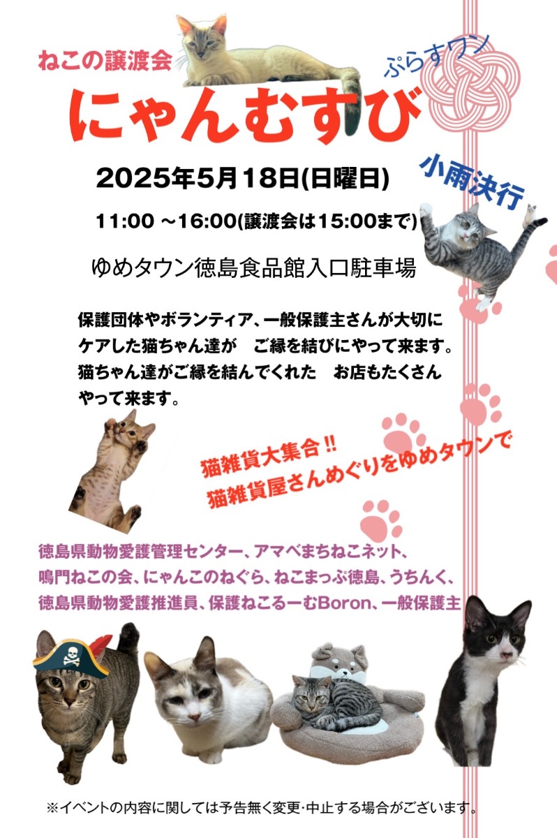 【徳島イベント情報2025】5/18|保護猫譲渡会にゃんむすび
