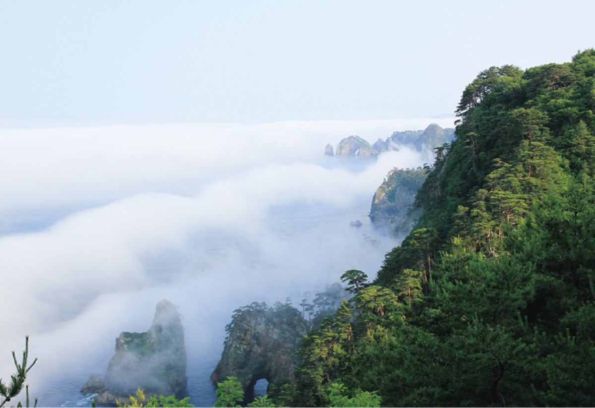南北海道から北東北へ｜田野畑村　断崖絶壁の美しい海岸線が続く､ 三陸海岸を代表する景勝地