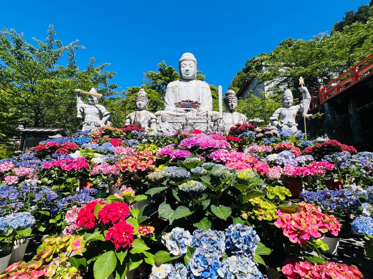【奈良県】暑さに負けずに楽しもう!7月のおすすめイベントまとめ