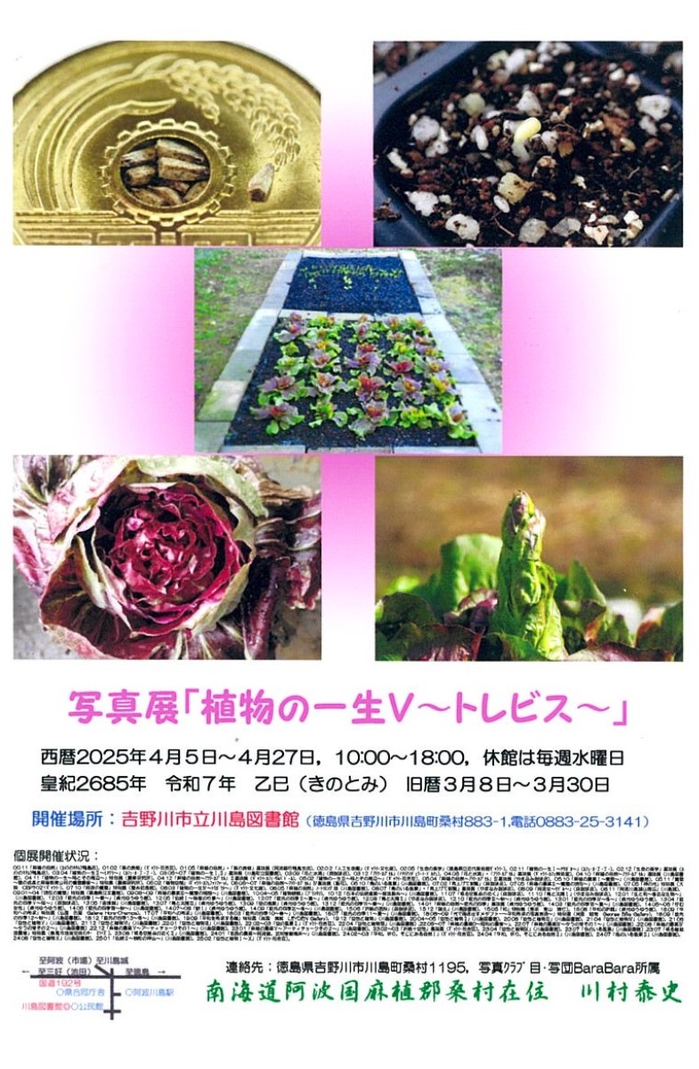 【徳島イベント情報2025】4/5～4/27｜川村泰史写真展『植物の一生Ⅴ～トレビス～』