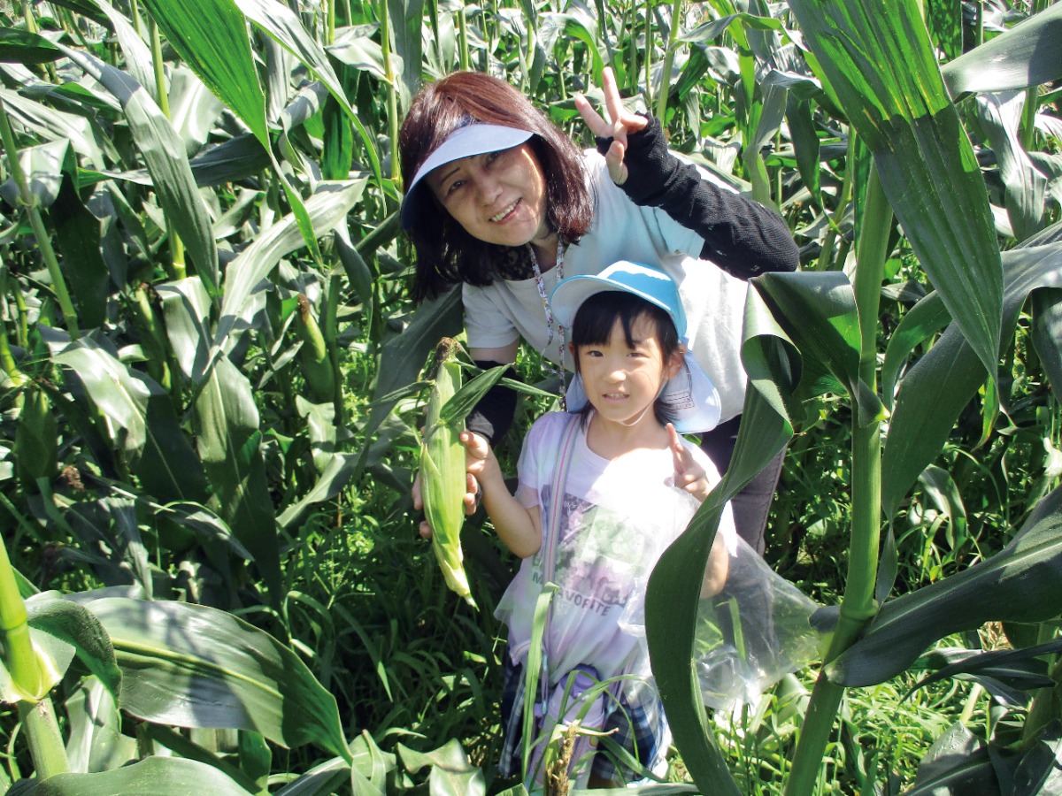 《2026年度版》徳島の私立幼稚園&認定こども園ピックアップ
