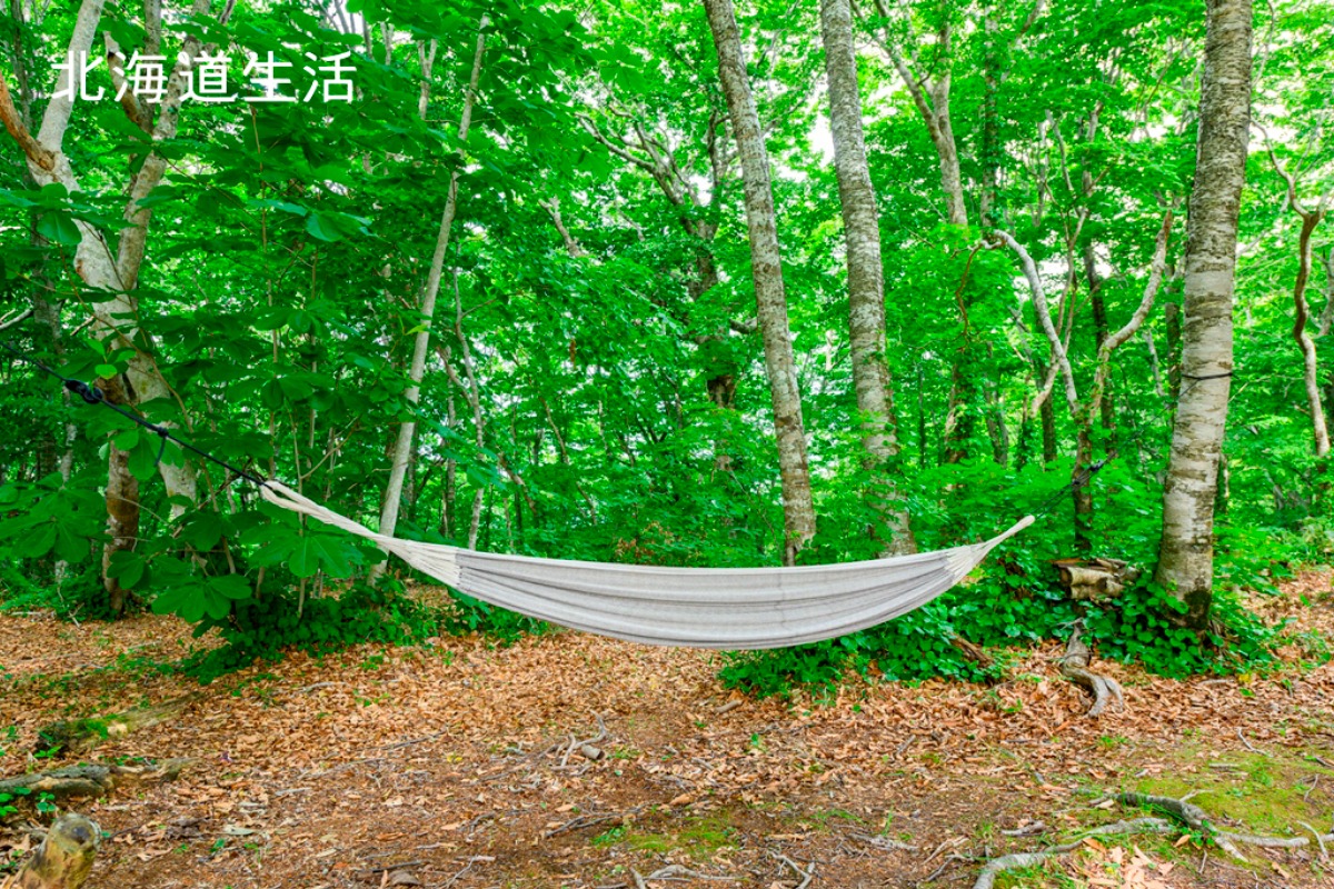 やぎさん取材日記｜北海道の南・奥尻島へ。　