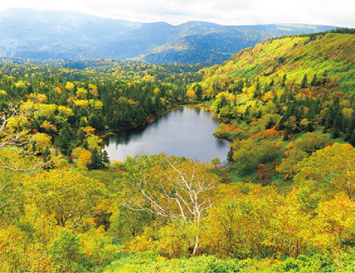 南北海道から北東北へ｜八幡平市　北東北の交通の要衝を担う、 広大な自然が広がるまち