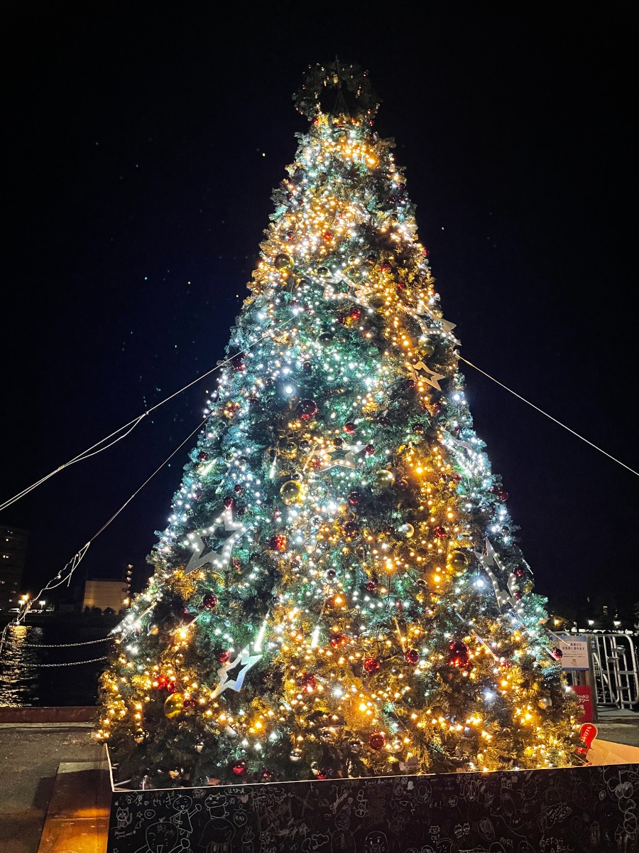 【徳島イベント情報2025】徳島イルミネーション情報まとめ＆雰囲気たっぷり映えスポットも紹介！