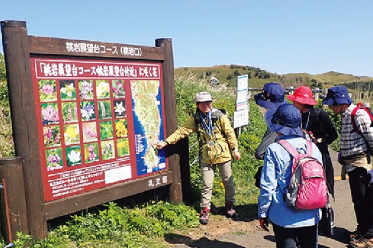北海道の‟花の浮島”・礼文島をトレッキングでめぐる旅