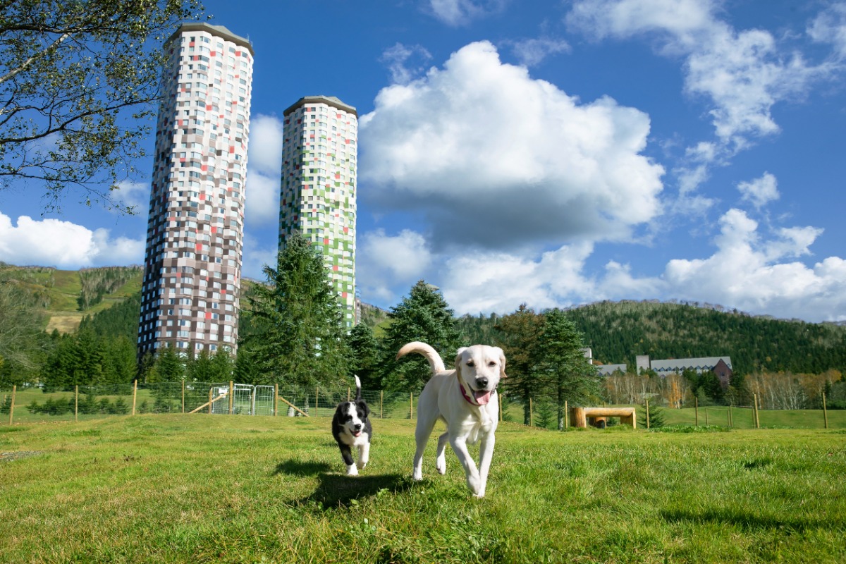 愛犬と楽しむ、星野リゾート北海道旅 vol.1