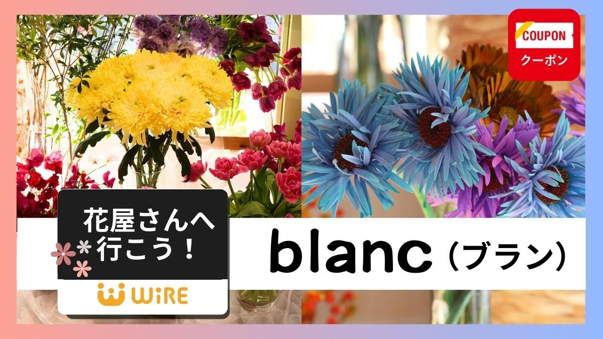 【徳島の花屋さん】blanc（ブラン／徳島市南昭和町）毎週新しい花との出合い、自分のための1輪を探しに