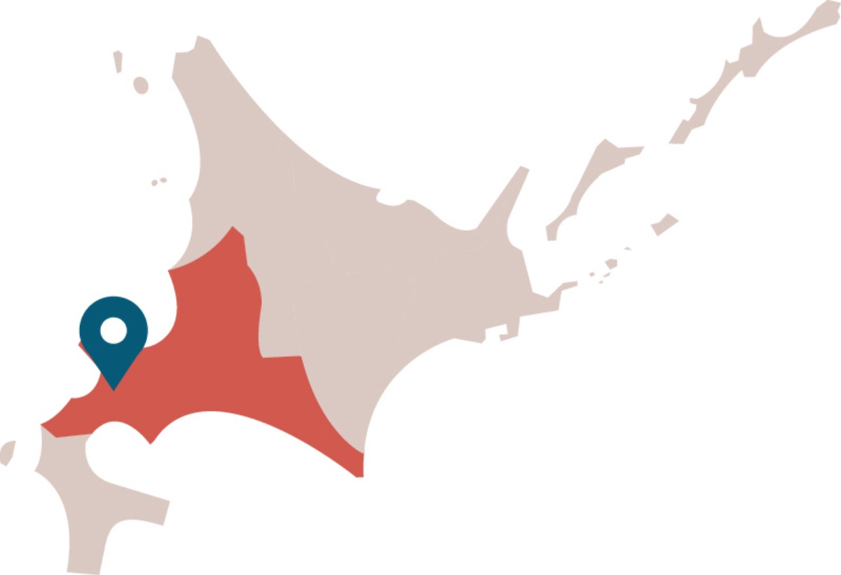 ふるさと納税｜ニセコ町　羊蹄山など山岳、自然豊かな観光リゾート地