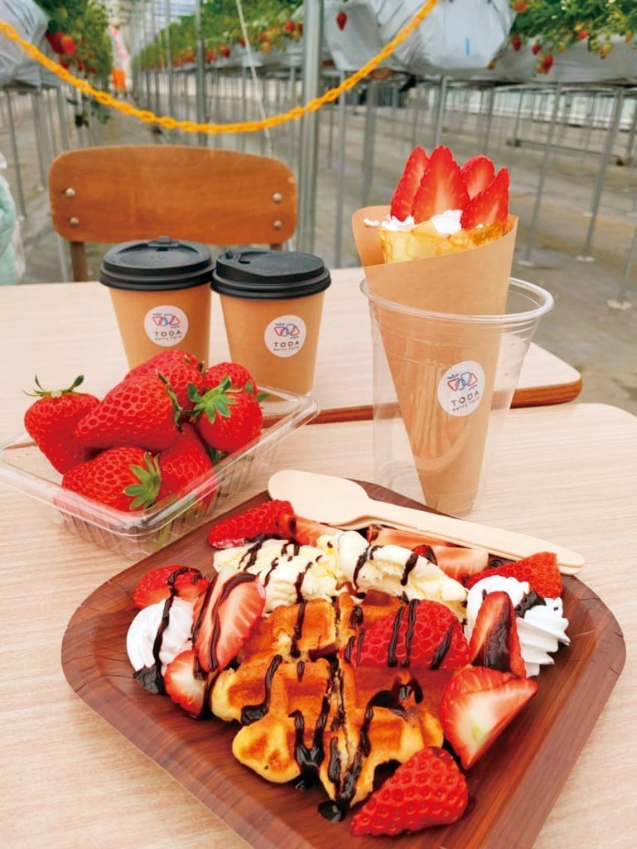 【2026最新版】徳島いちご狩りスポット・おすすめ14選！家族のおでかけ＆レジャーにぴったり