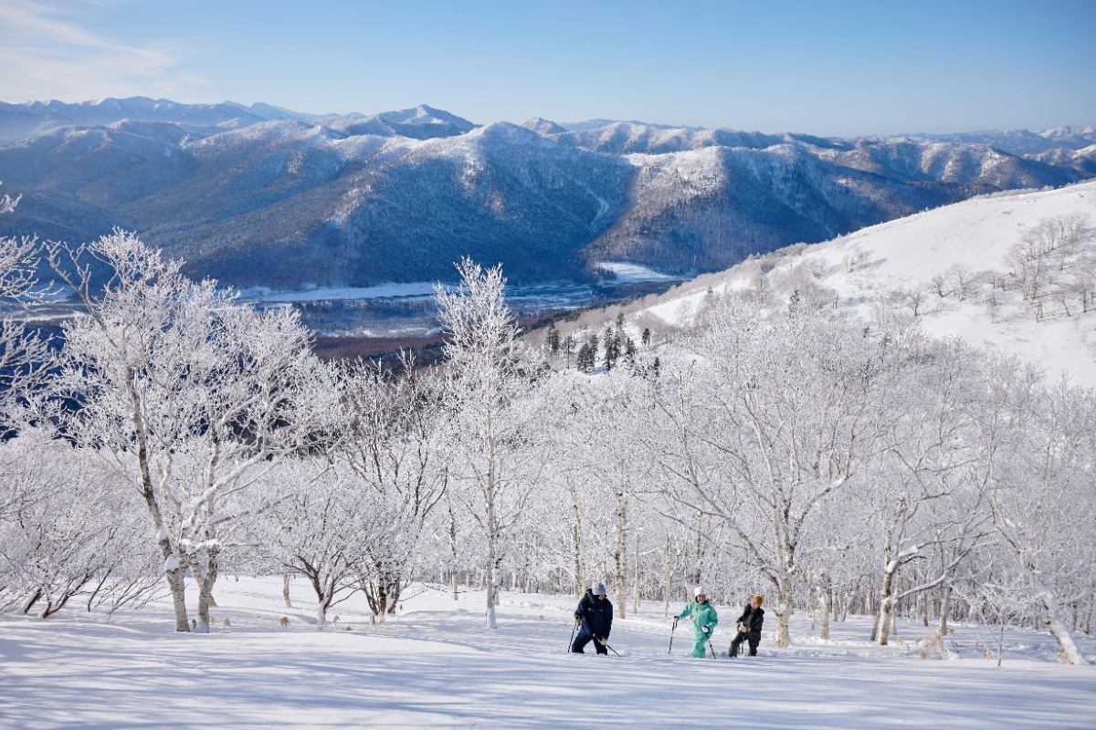 北海道・トマムで冬の絶景を満喫する霧氷スノーシュー開催！