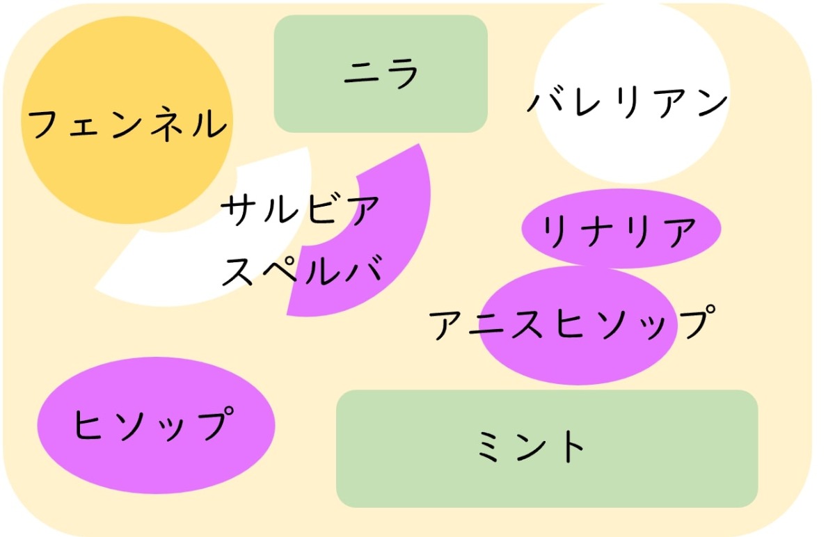 ポタジェ|菜園のデザイン!ハーブの開花と野菜が育つ7月の様子