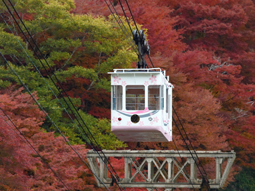 山全体が色づく絶景紅葉スポット【紅葉2021/吉野山/吉野町】