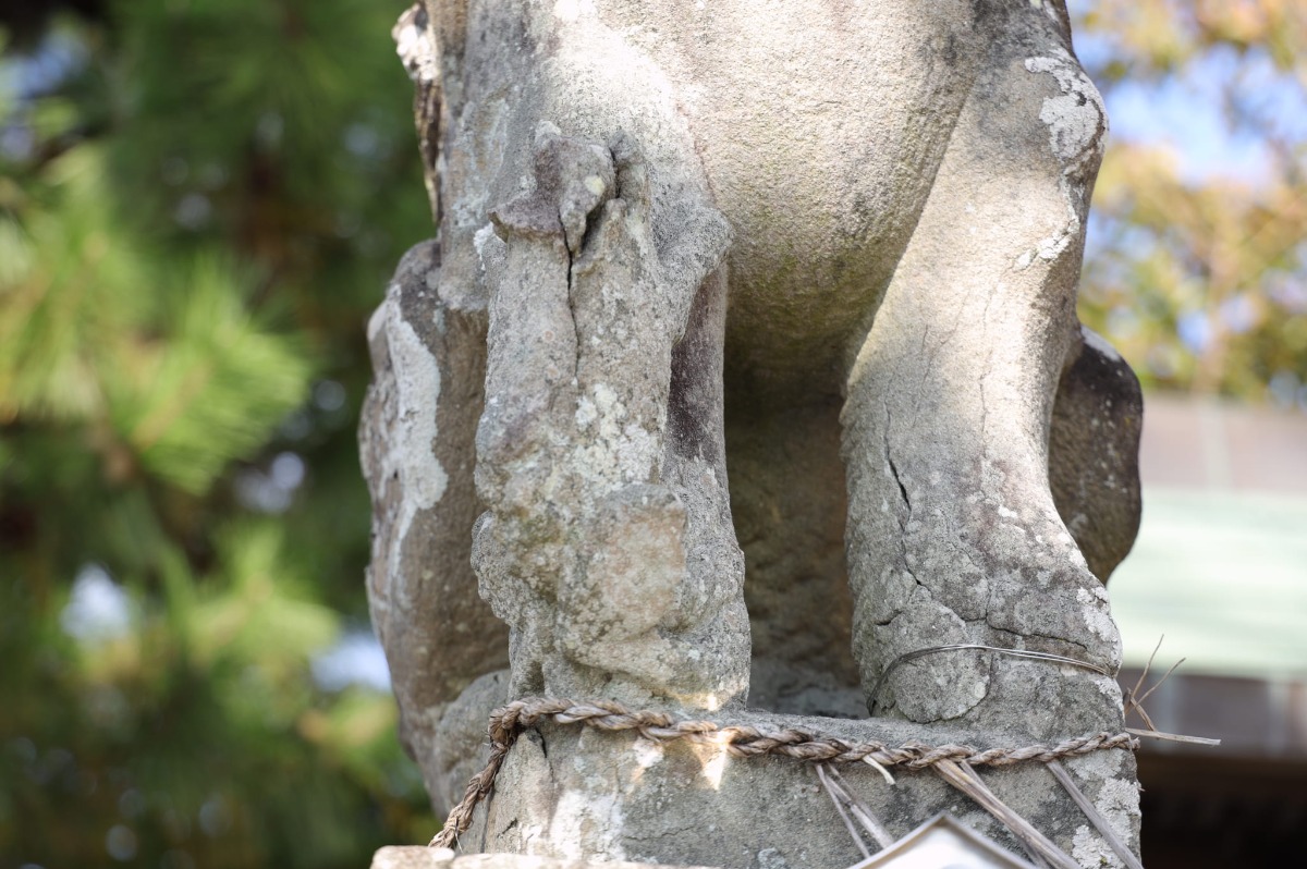 《徳島探訪》とくしま狛犬列伝 「徳島市 四所神社」