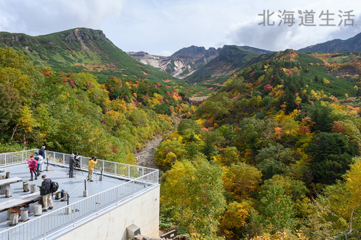 やぎさん取材日記｜日本一早い、北海道の紅葉を見られる温泉宿。