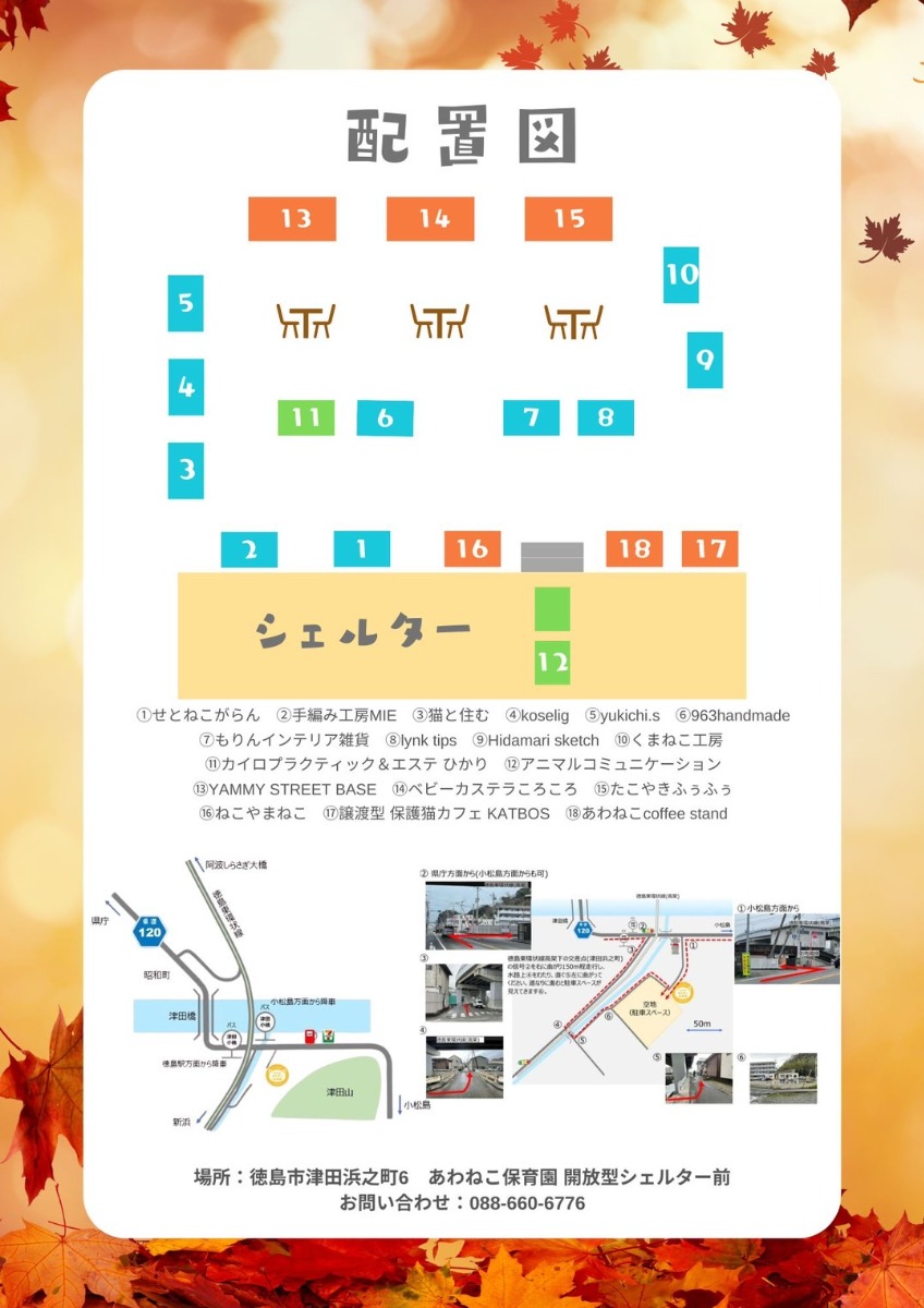 【徳島イベント情報2025】10/5|秋のあわねこネコまつり