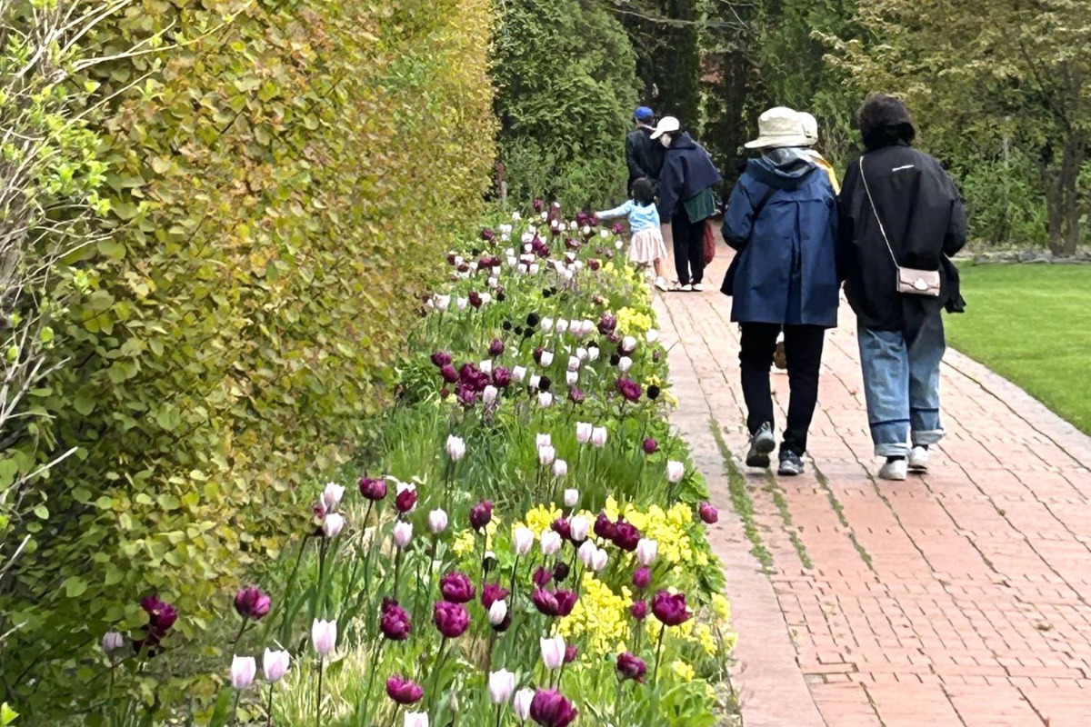 北海道 宿根草の育て方｜9月　初秋の庭の管理と秋植え球根