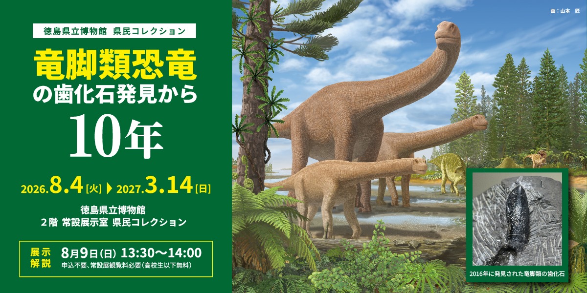 【徳島イベント情報2026】徳島県立博物館【9月】