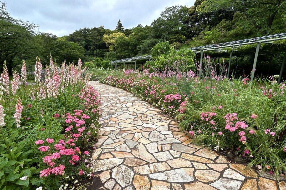 北海道の庭｜今週の花　浜名湖花博「はままつフラワーパーク」から