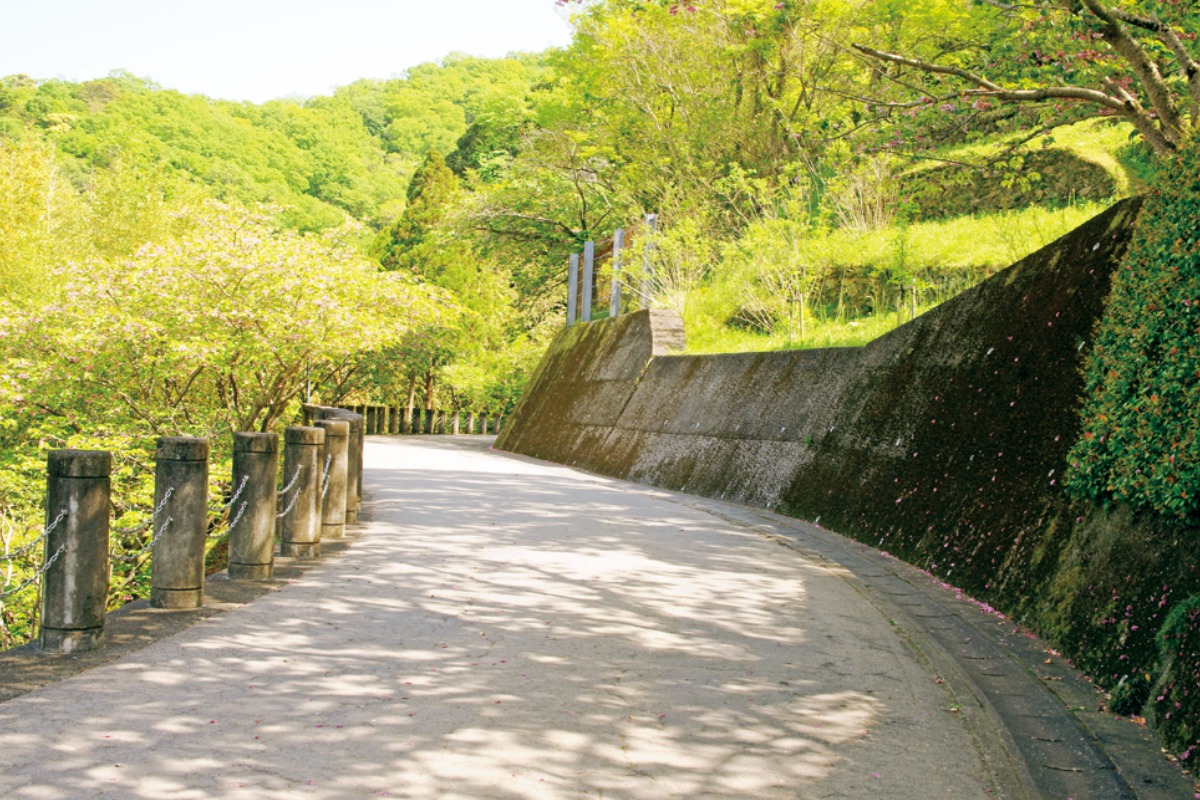 親子でおでかけ！ 徳島の公園「徳島県文化の森総合公園」