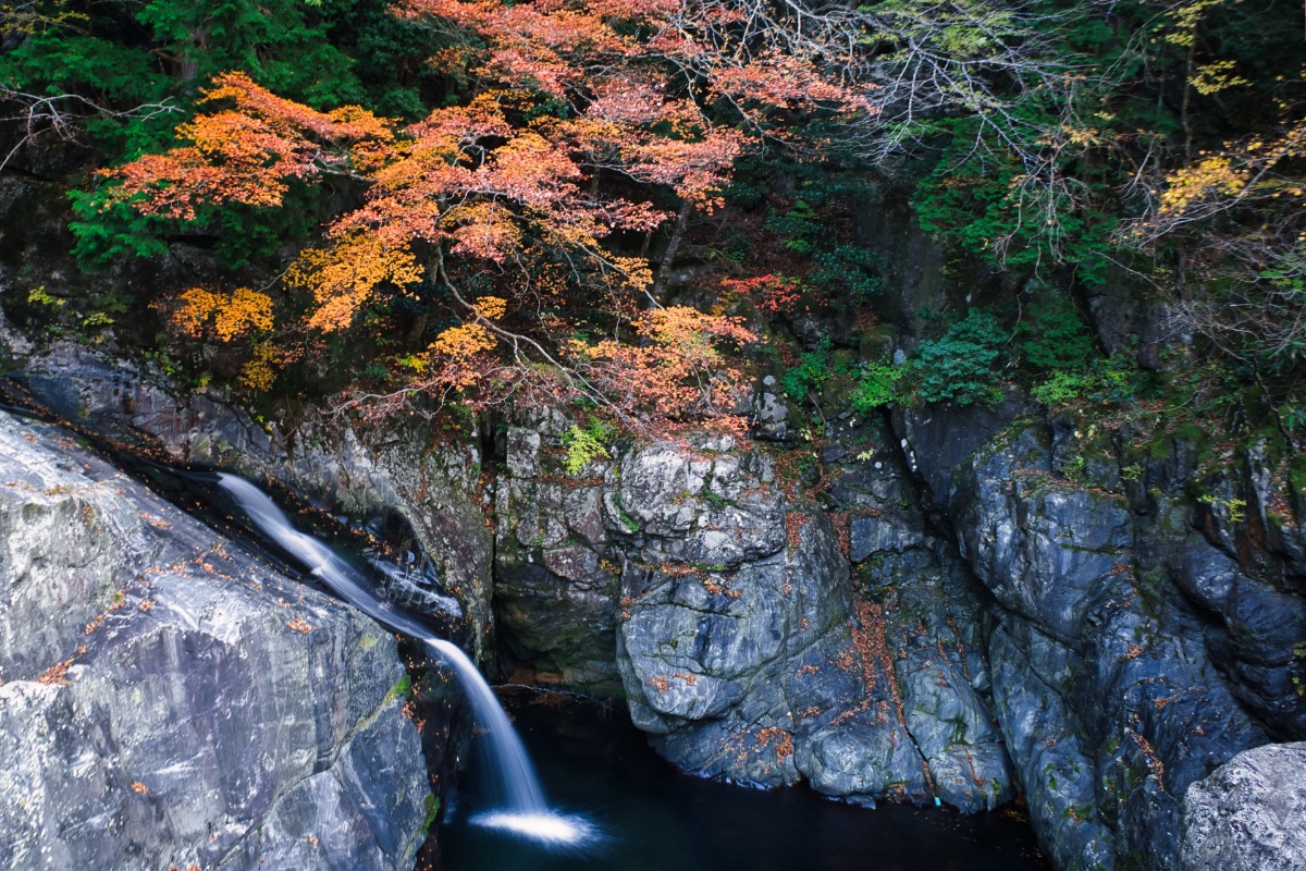 秋色に染まる渓谷美に酔いしれる!「天の川もみじまつり」も開催【みたらい渓谷|奈良県天川村】