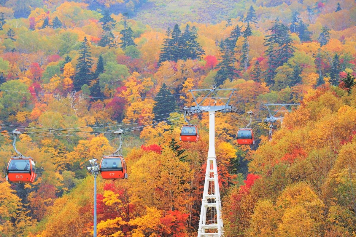 札幌国際スキー場で紅葉＆グルメを楽しむ「秋祭り」10月1日より開催