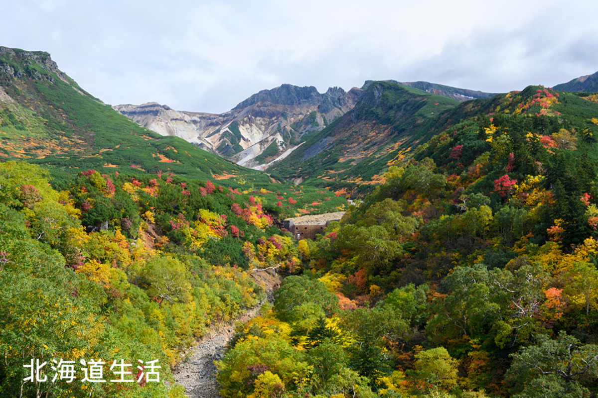 絶景の宿｜日本一早い紅葉を見に、 十勝岳の絶景温泉へ。