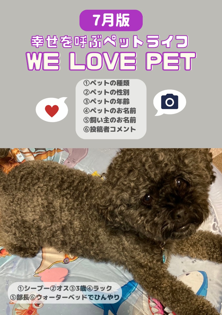 【ペットフォトコンテスト】幸せを呼ぶペットライフ　We LOVE Pet2024年7月版