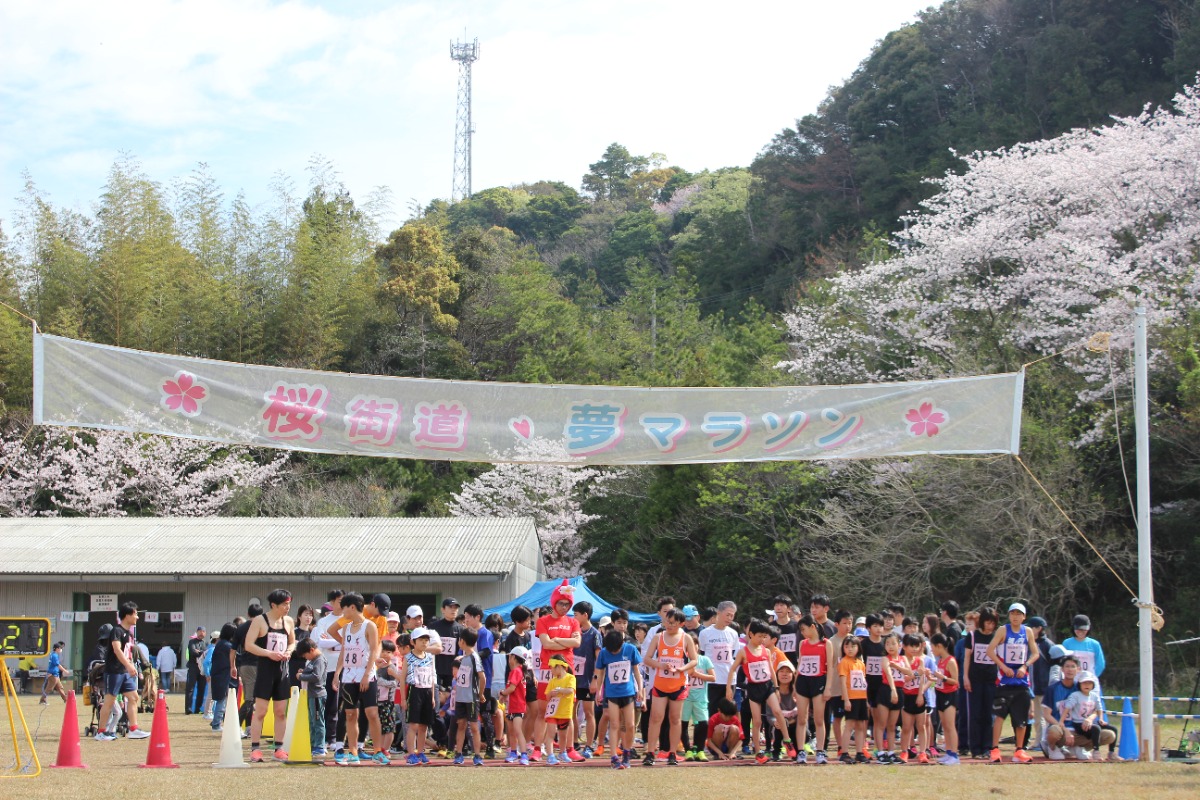 【徳島イベント情報2026】4/5｜2026桜街道・夢マラソン［2/19申込締切］