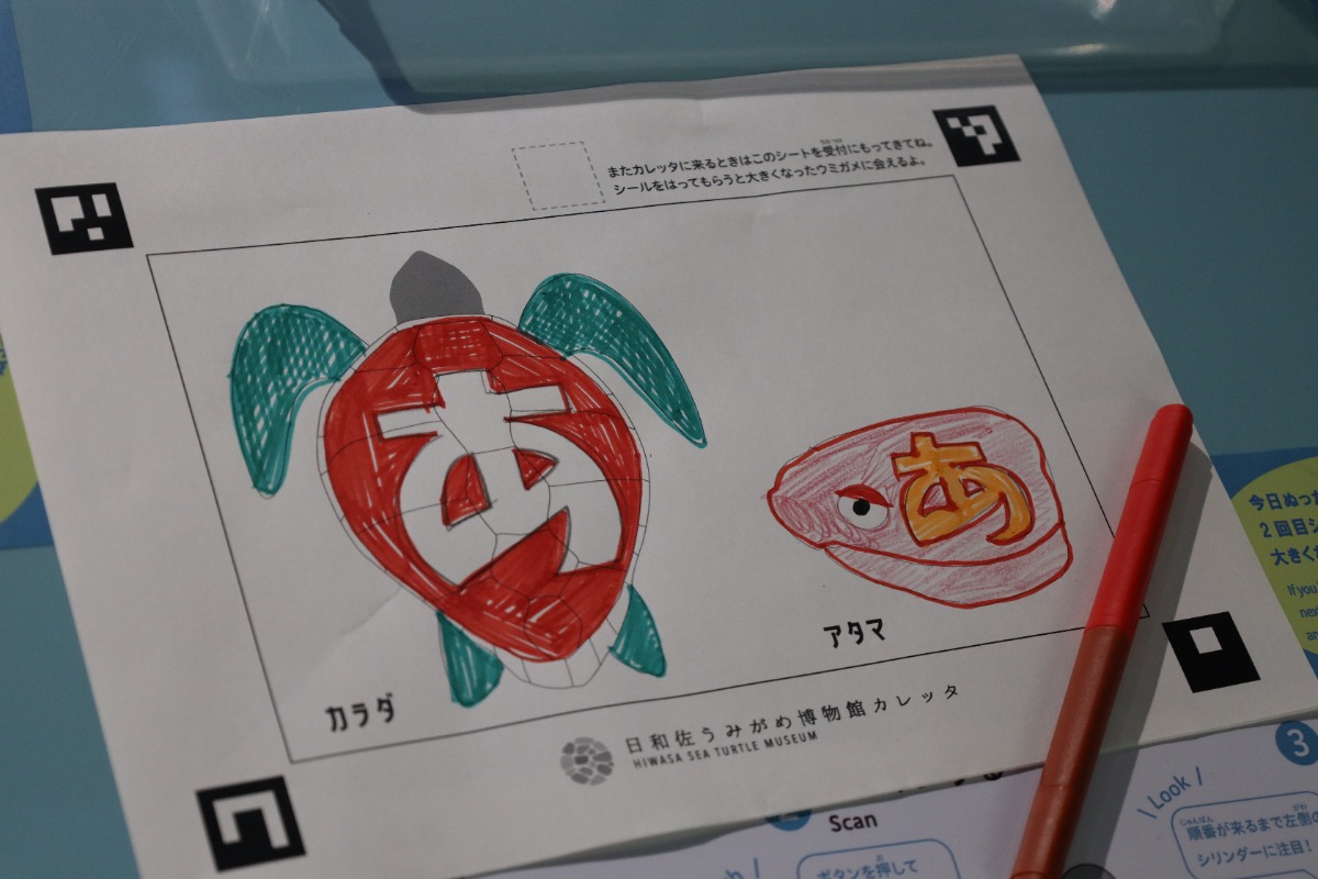 【レポ】日和佐うみがめ博物館カレッタ|2025年ついにリニューアルオープン! この夏おでかけしたい注目スポット