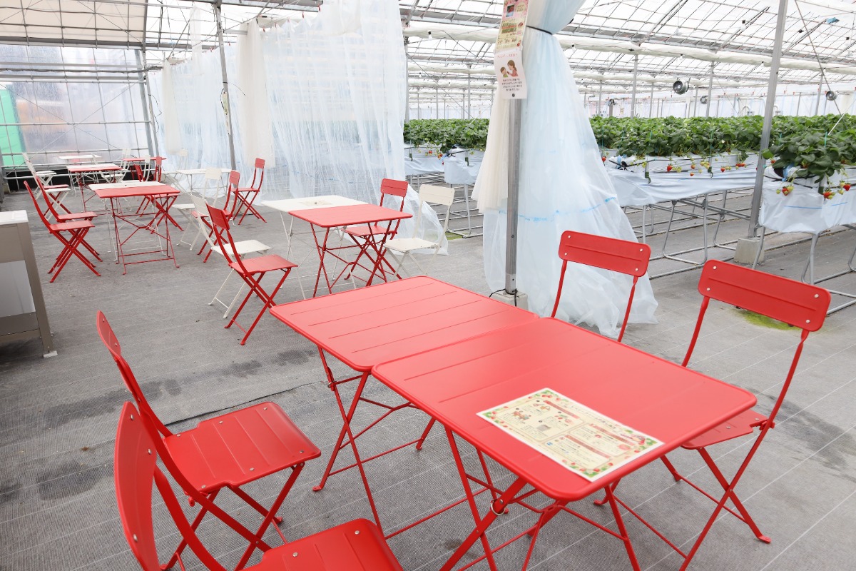 《にし阿波トベリーファーム》東みよし町を「いちごのまち」に！春のおでかけは新オープンのいちご狩りスポットへ