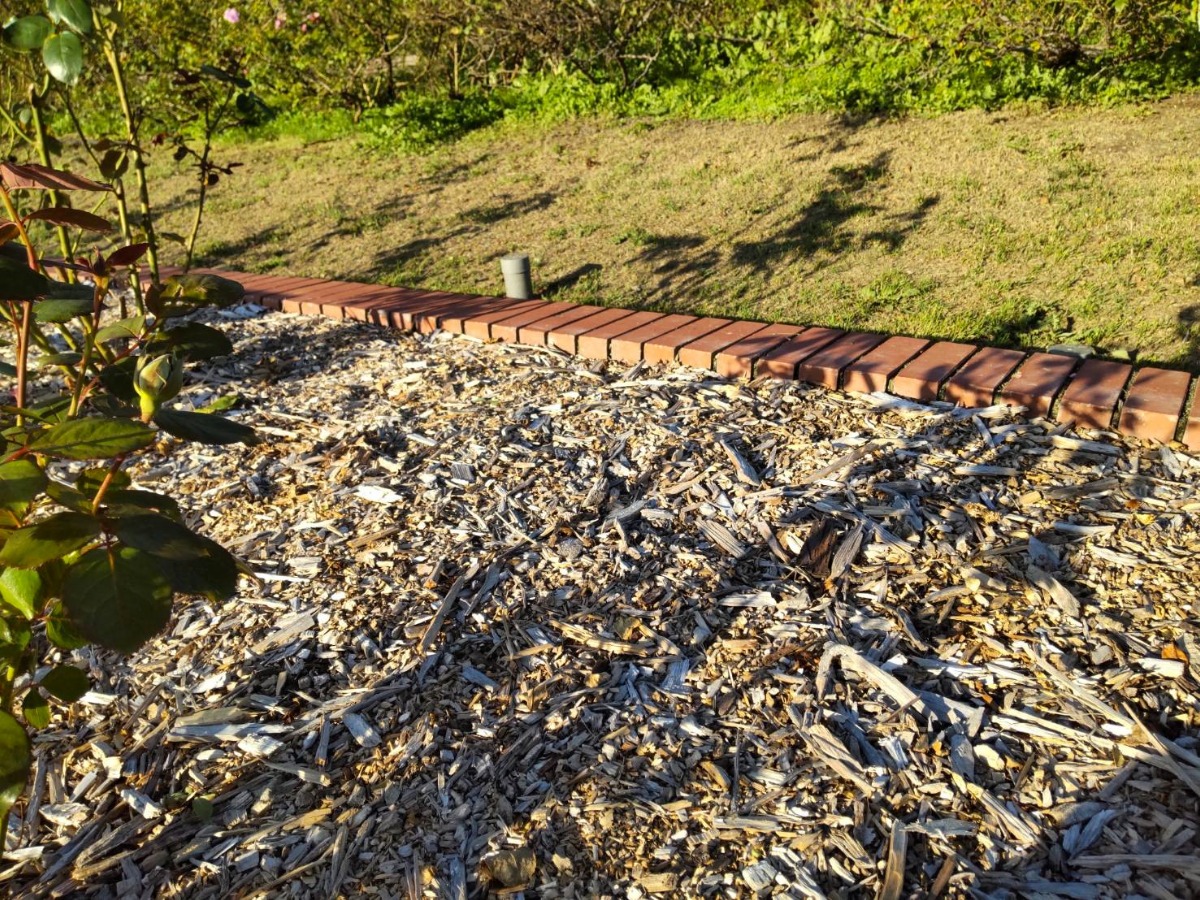 北海道 バラの育て方｜10月　来年の植え床づくり・土壌改良