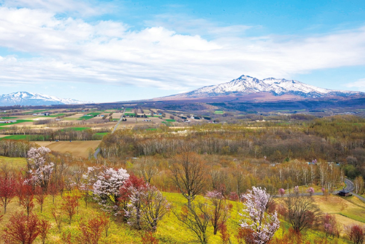 春夏のオホーツク｜斜里岳の麓、清里町の豊かな自然に景勝地が点在 