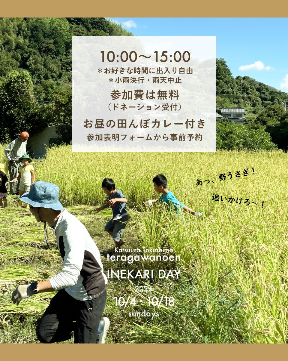 【徳島イベント情報2026】10/4｜寺川農園 稲刈りデー［要申込］