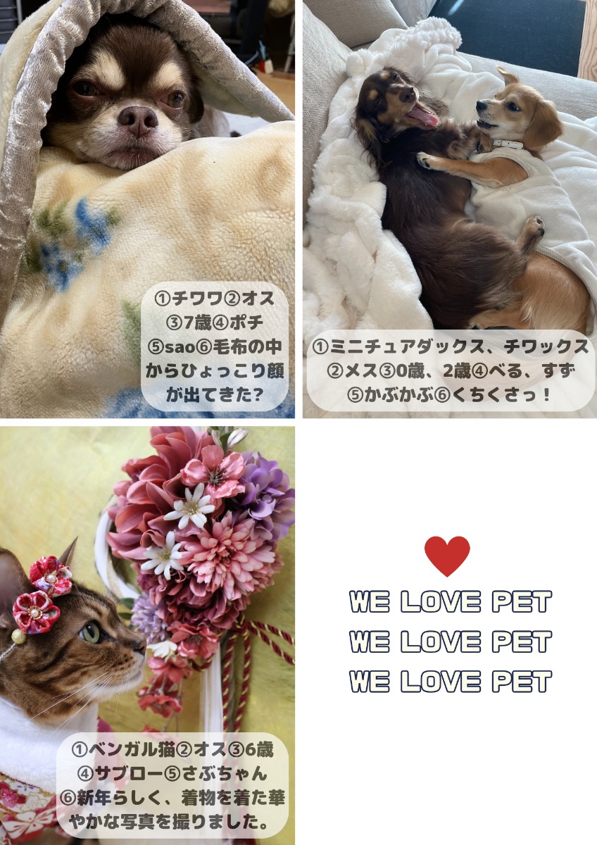 【ペットフォトコンテスト】我が家のペット／看板犬・猫 受賞作品紹介