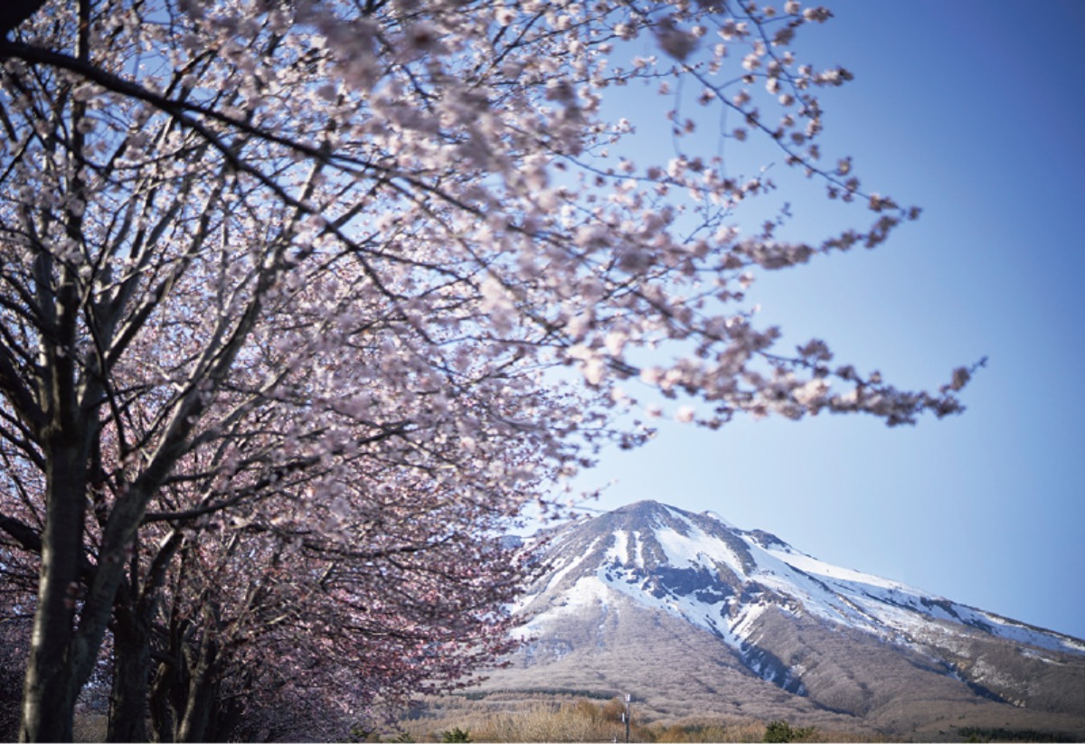道南・東北をめぐる｜青森県　アートと花に包まれる、春の青森へ